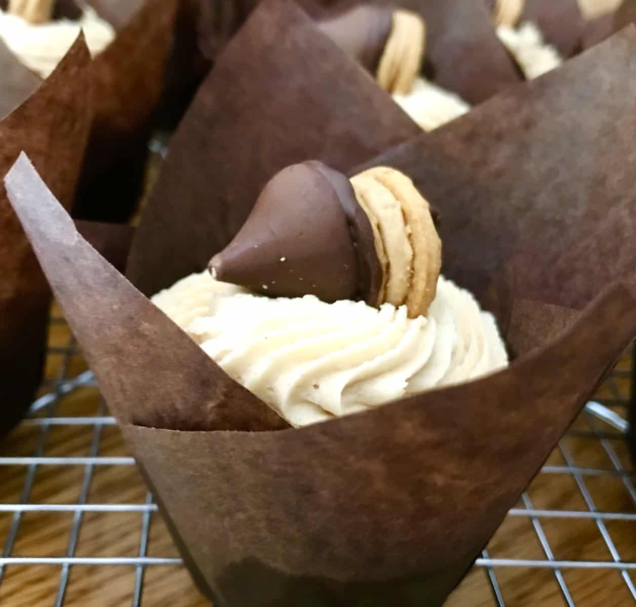 cupcakes with chocolate acorn on top