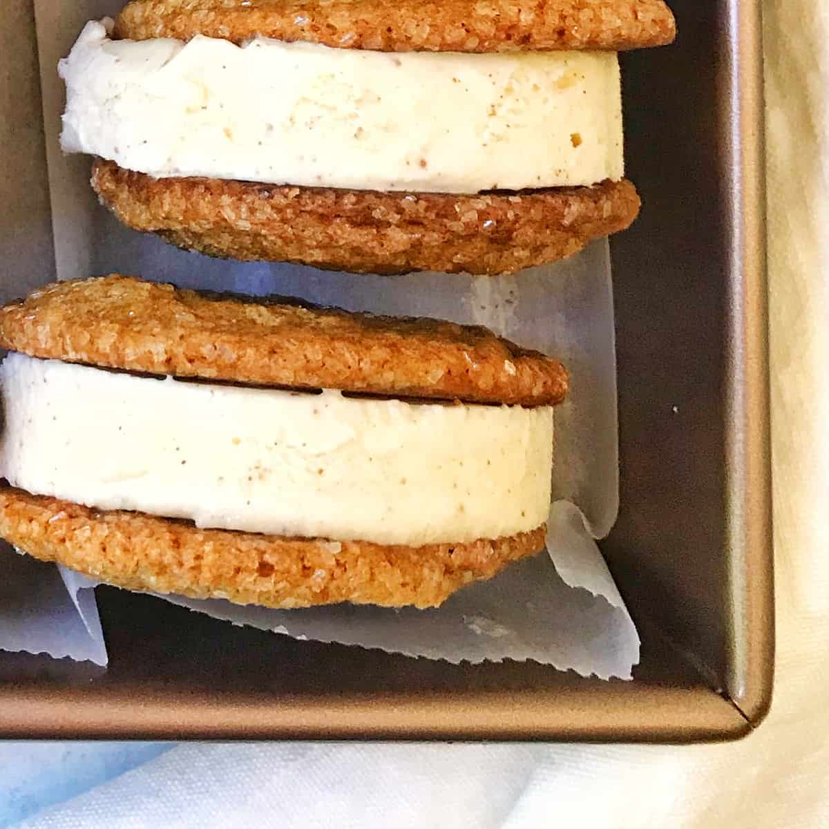 close up of molasses cookies and cinnamon ice cream