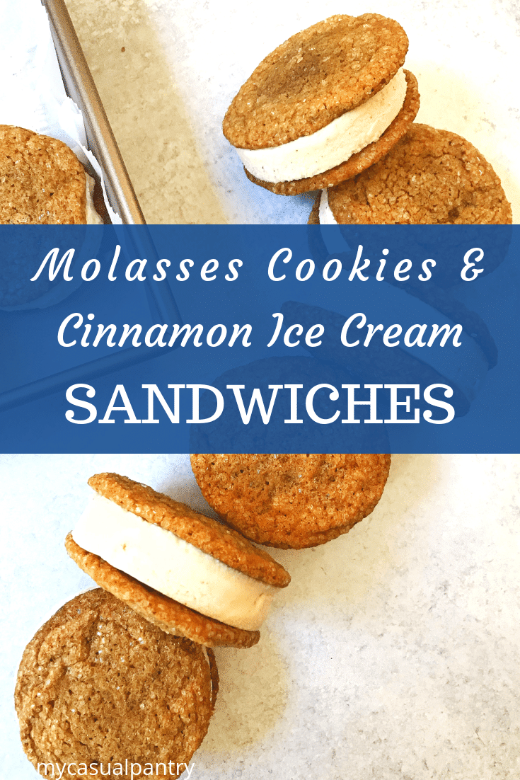 Molasses Cookies and Cinnamon Ice Cream Sandwiches