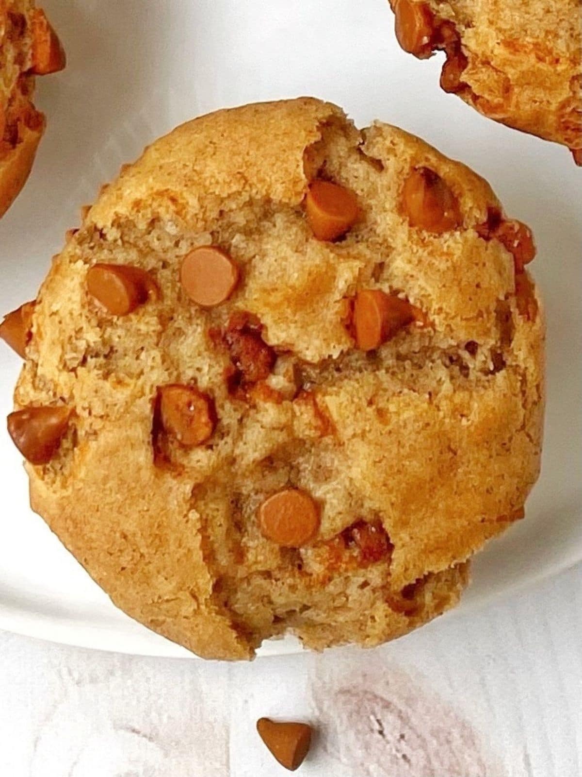 close up of cinnamon muffin