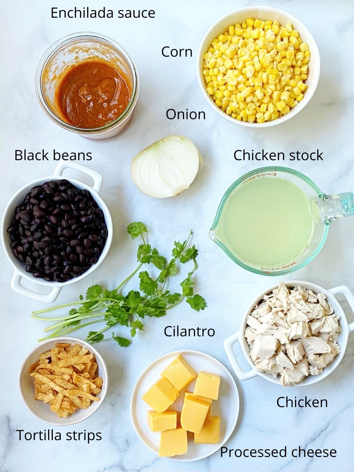 dishes of corn, black beans, sauce, stock, chicken, onion, cheese