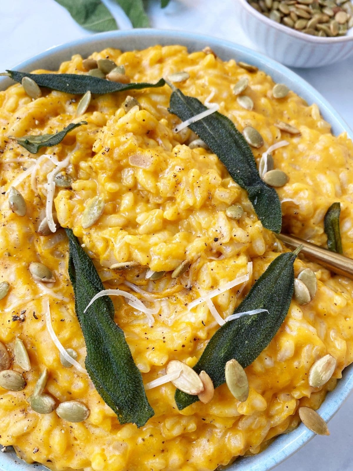 close up of a bowl of creamy pumpkin risotto