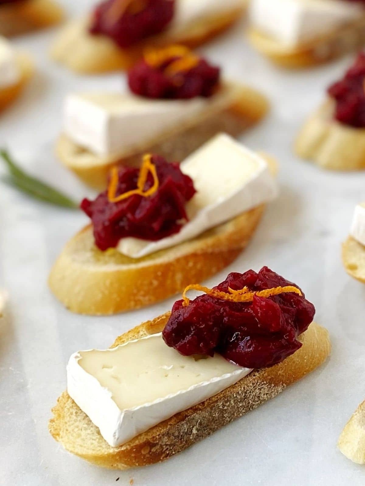 toasts topped with brie and cranberry