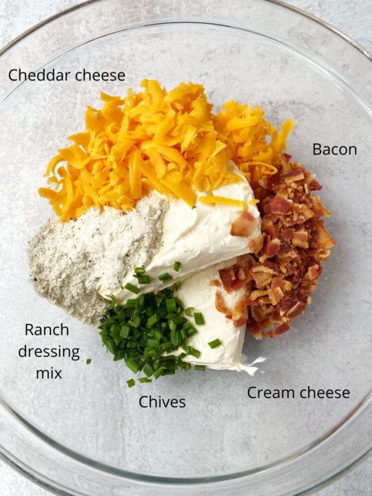 Hedgehog Cheeseball - My Casual Pantry