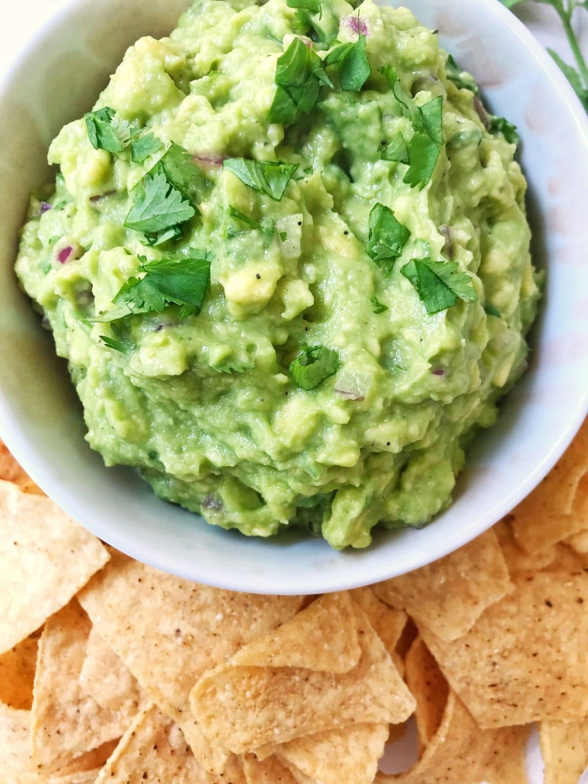 close up of bowl of avocado dip with tortilla chips on the side