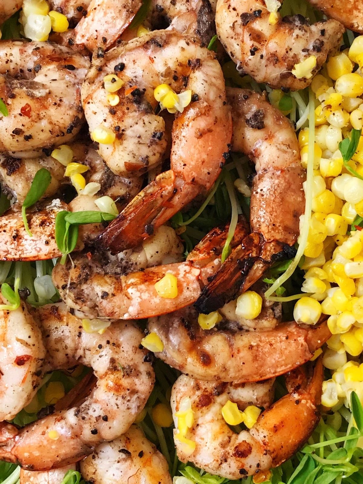 close up of grilled shrimp