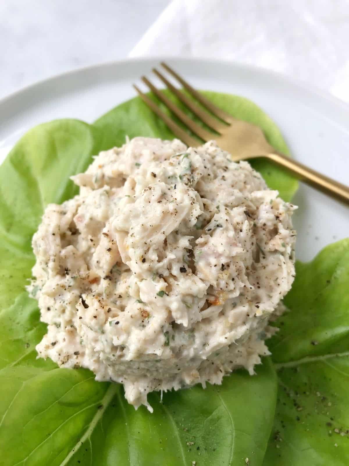 scoop of tuna on bed of lettuce