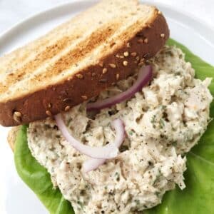 tuna salad on toasted bread