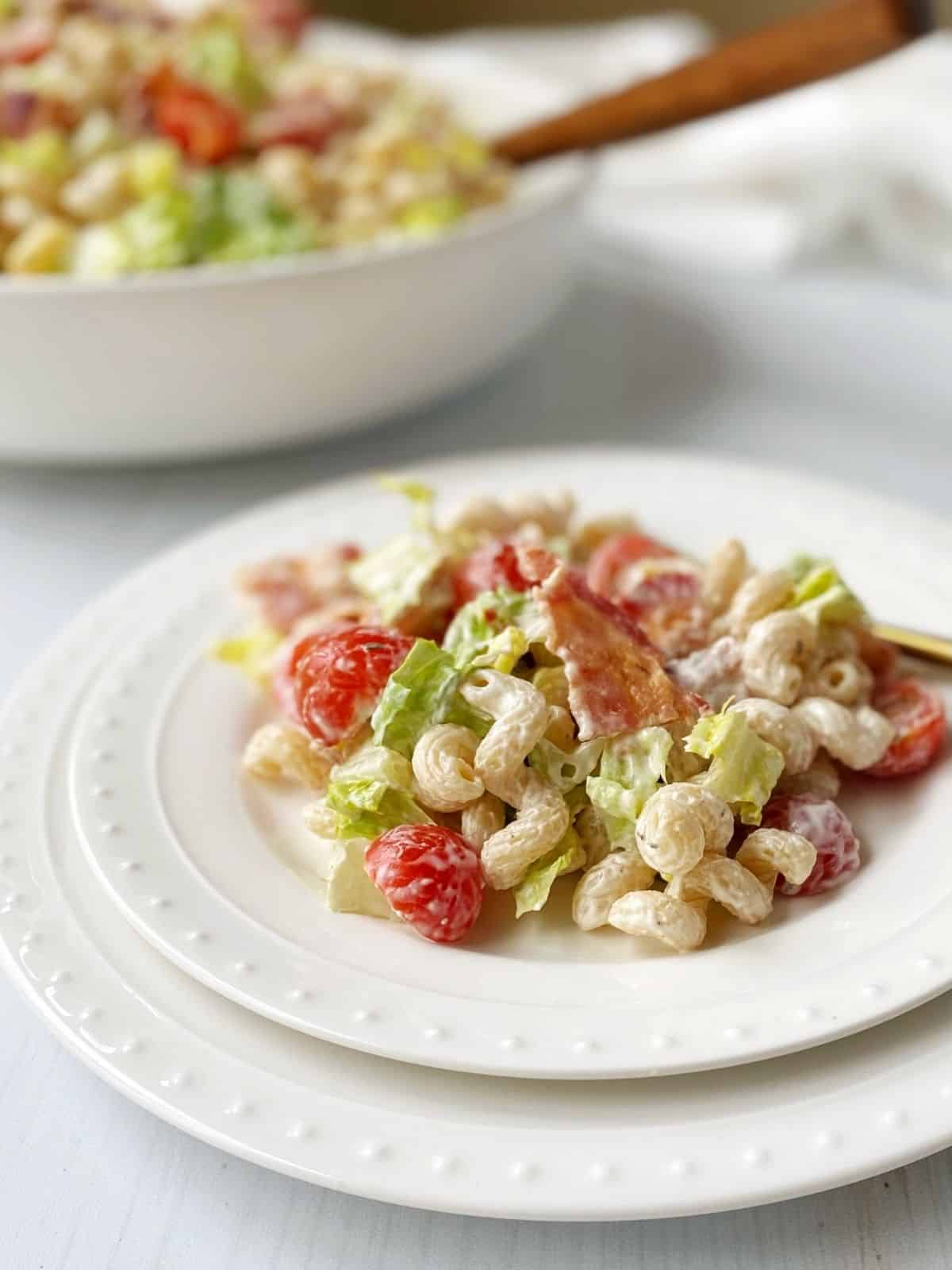 plate of salad next to the serving bowl of pasta salad