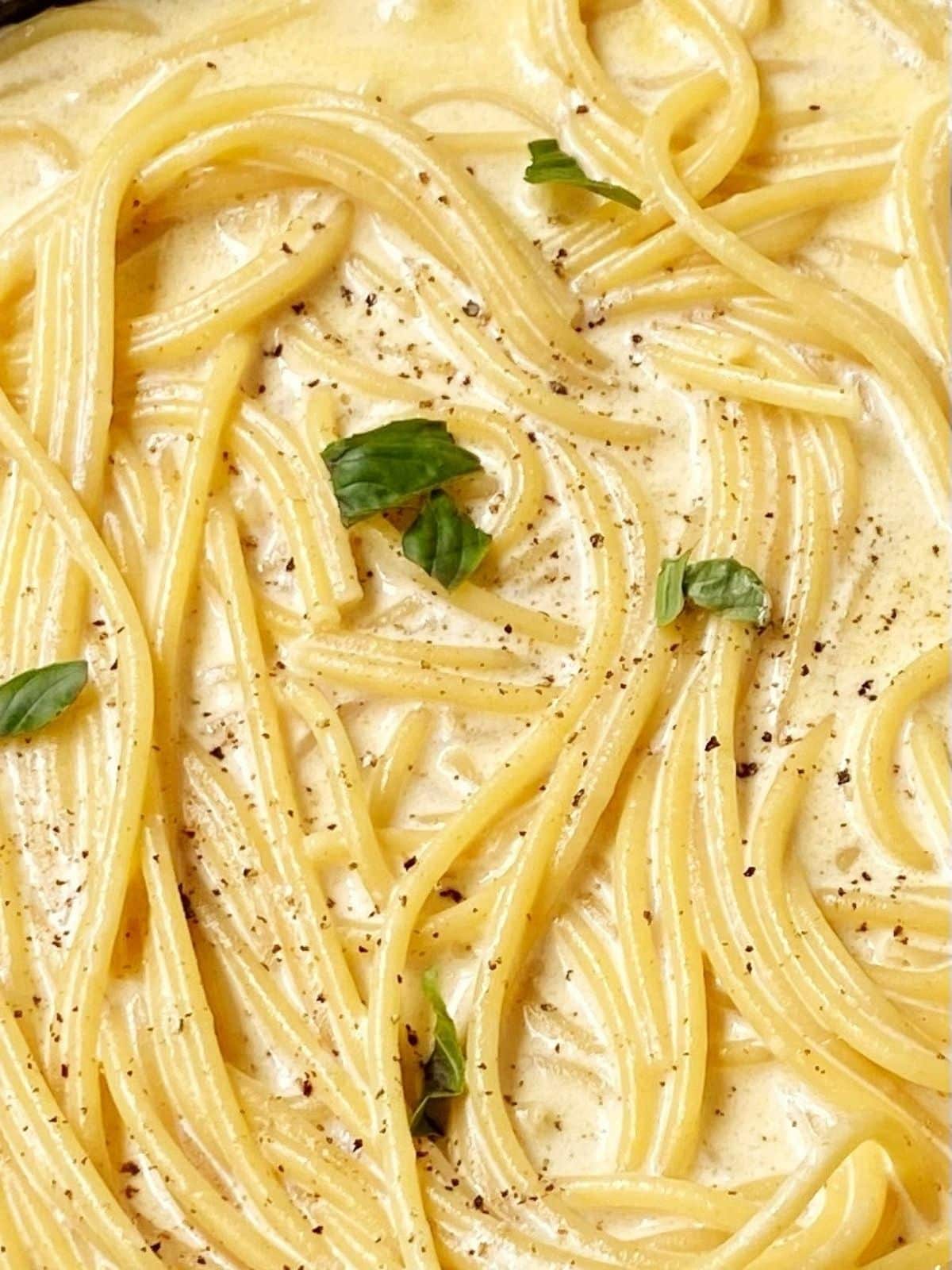 close up of pasta in alfredo sauce
