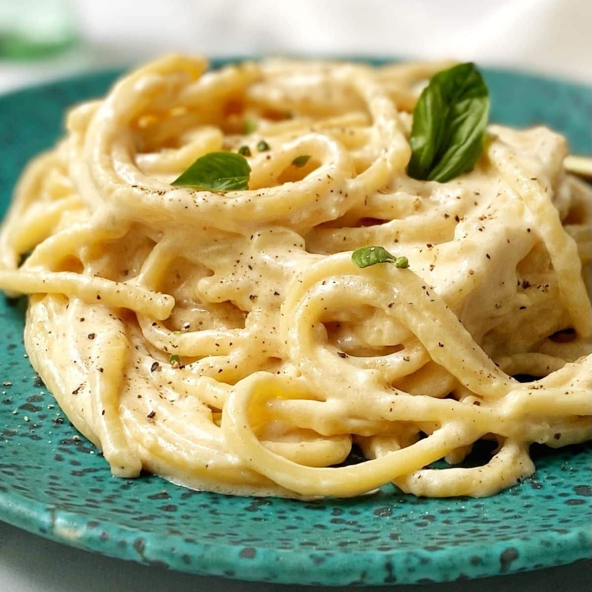 close up of pasta in alfredo sauce on a plate
