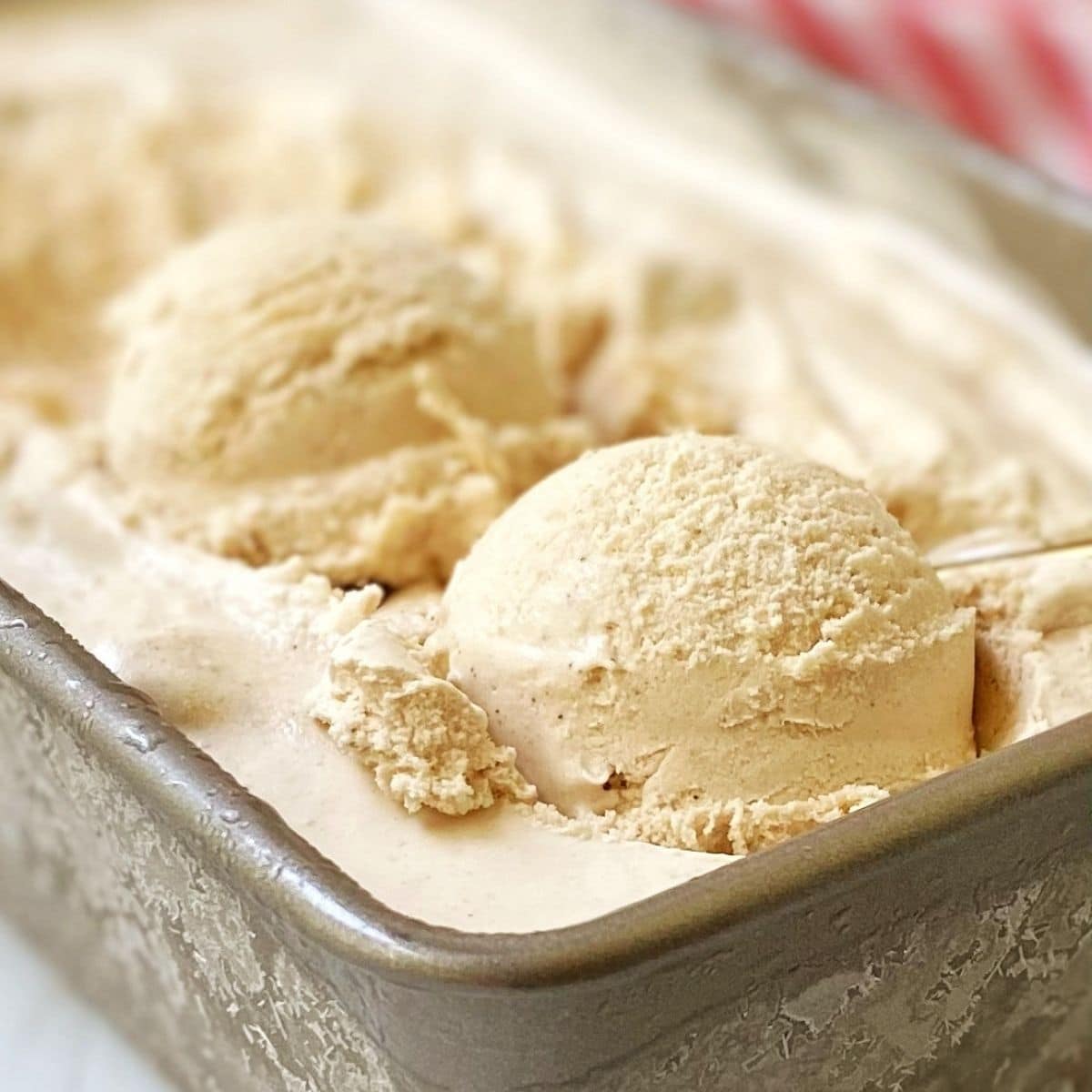 close up of cinnamon ice cream