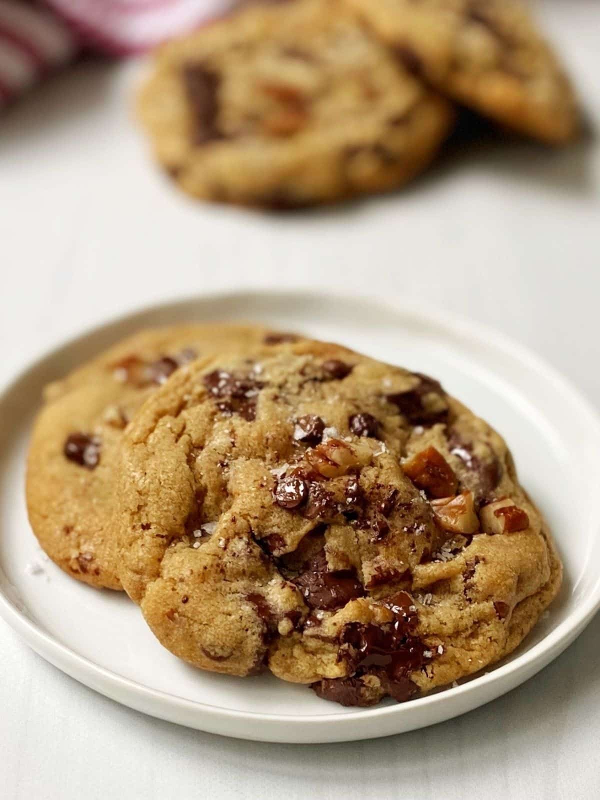 white plate of chocolate chip pecan cookies.