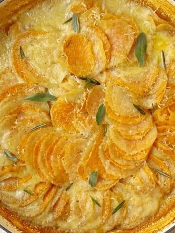 close up of sweet potato gratin