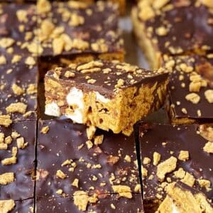 close up of peanut butter smores bars