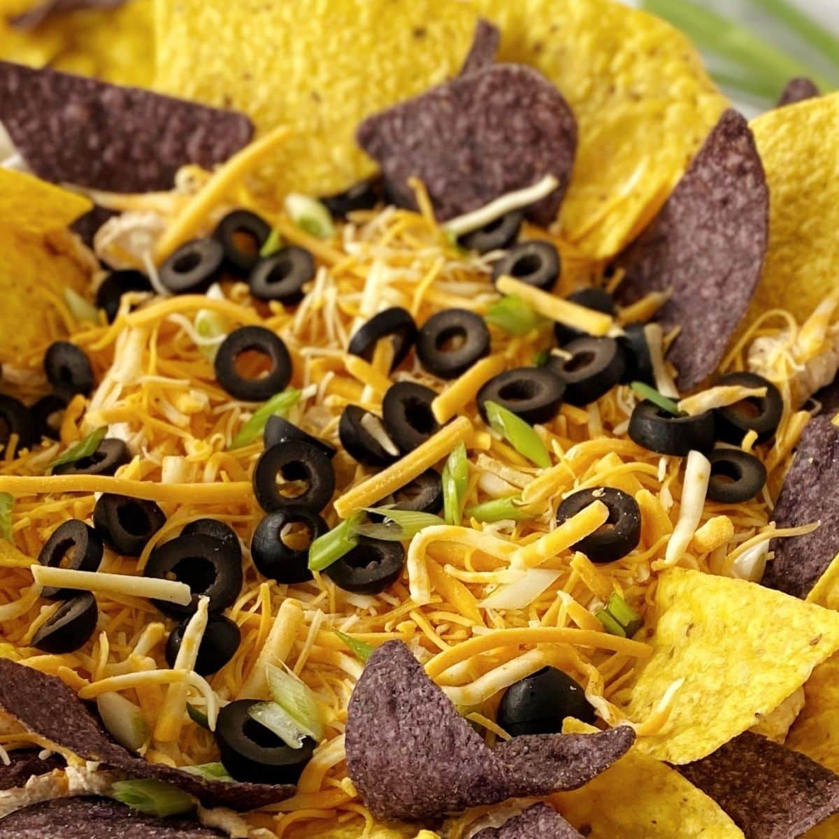 taco dip close up