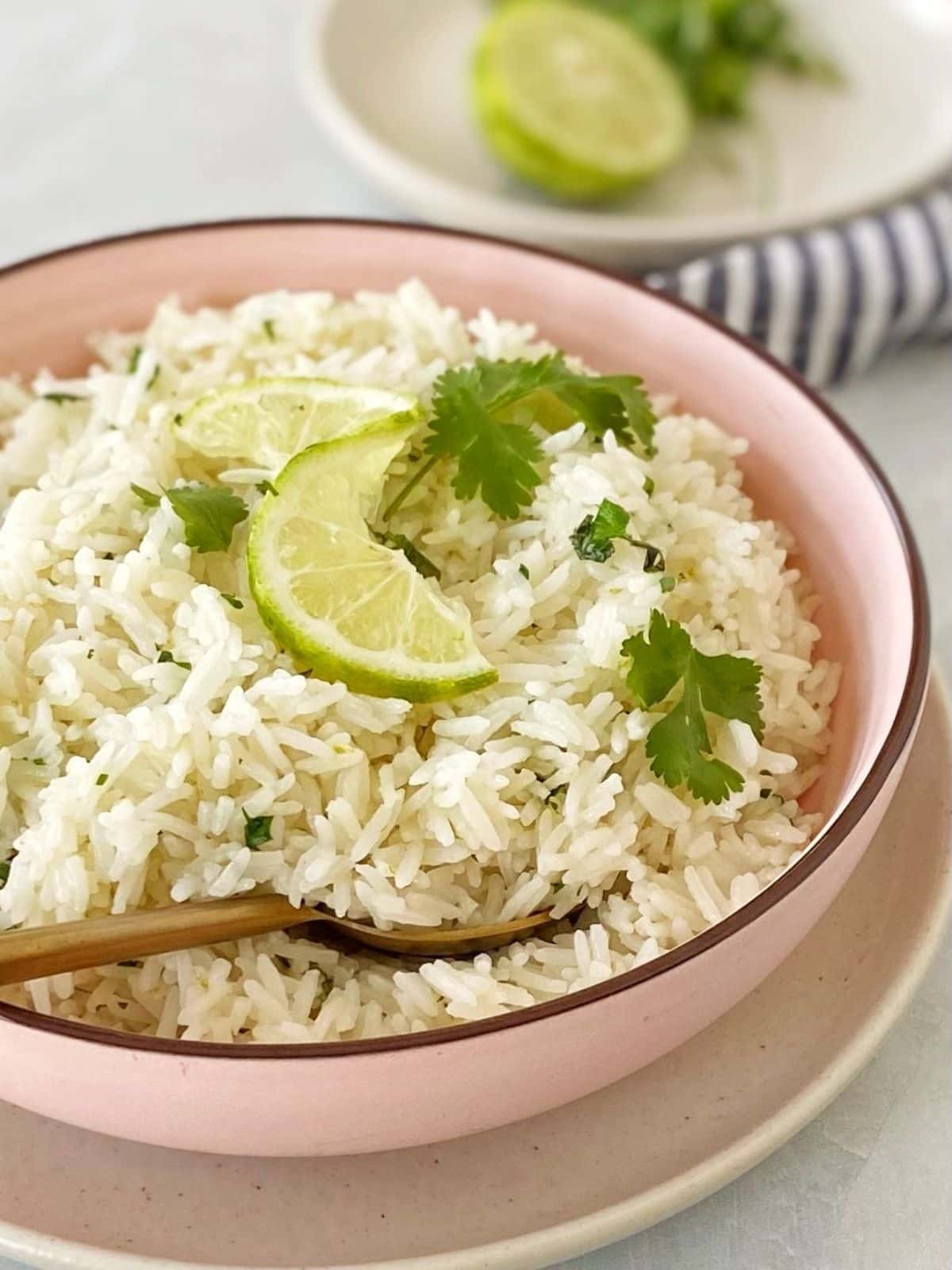 close up of coconut rice in a bowl