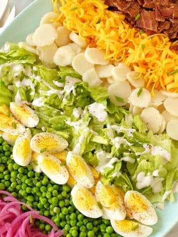salad ingredients layered in rows on a platter.