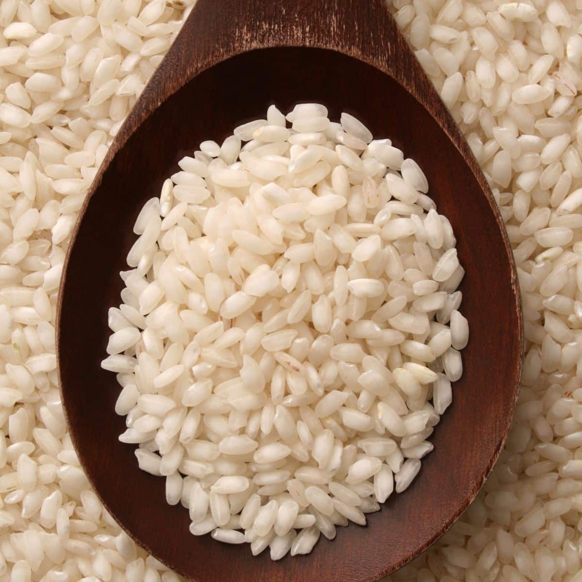 wooden spoon of arborio rice.