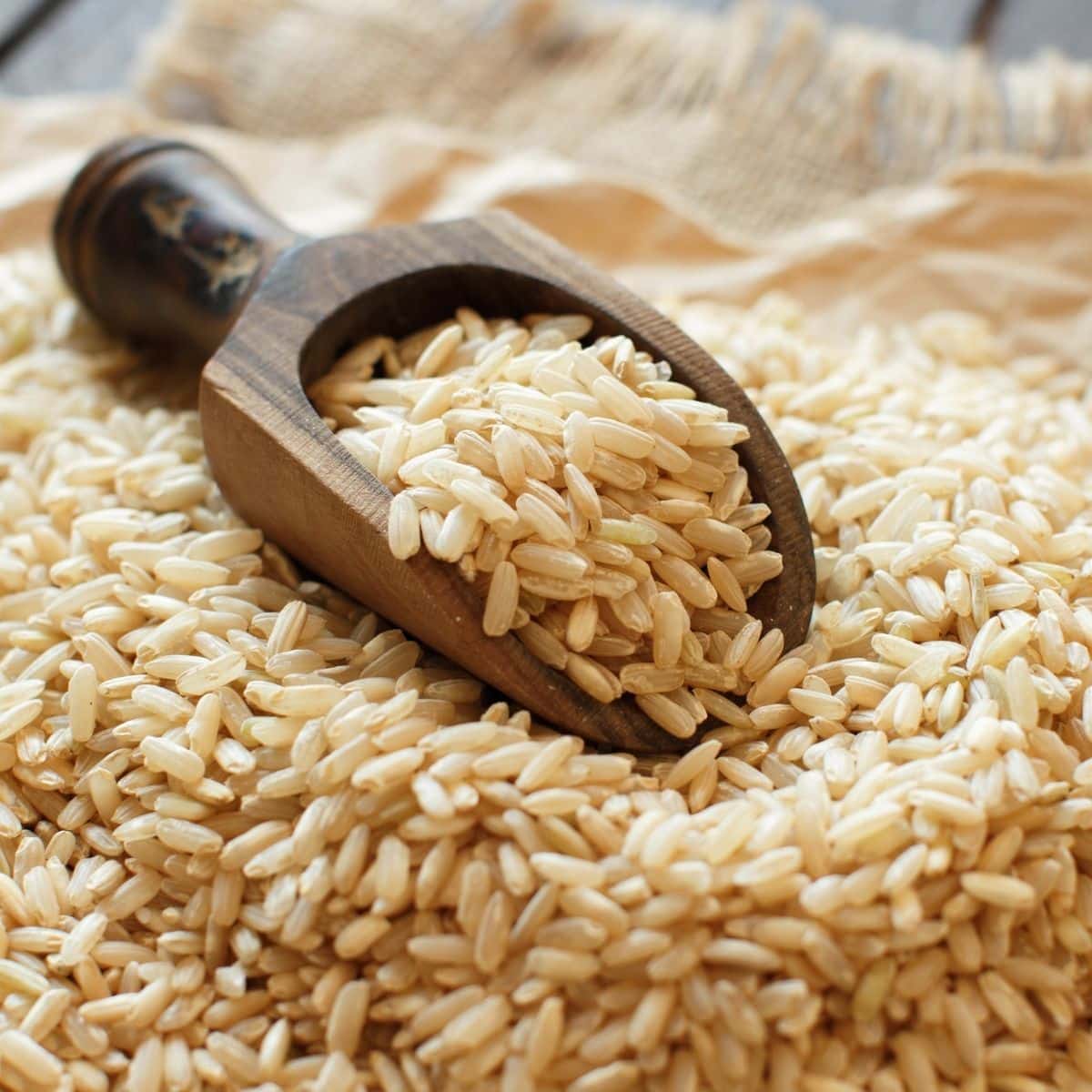 wooden scoop full of brown rice.