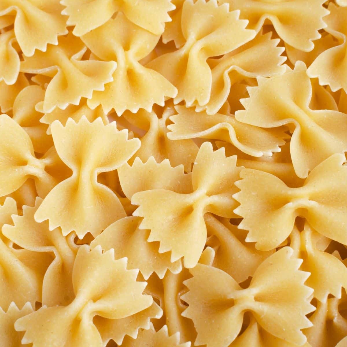 miniature farfalle.