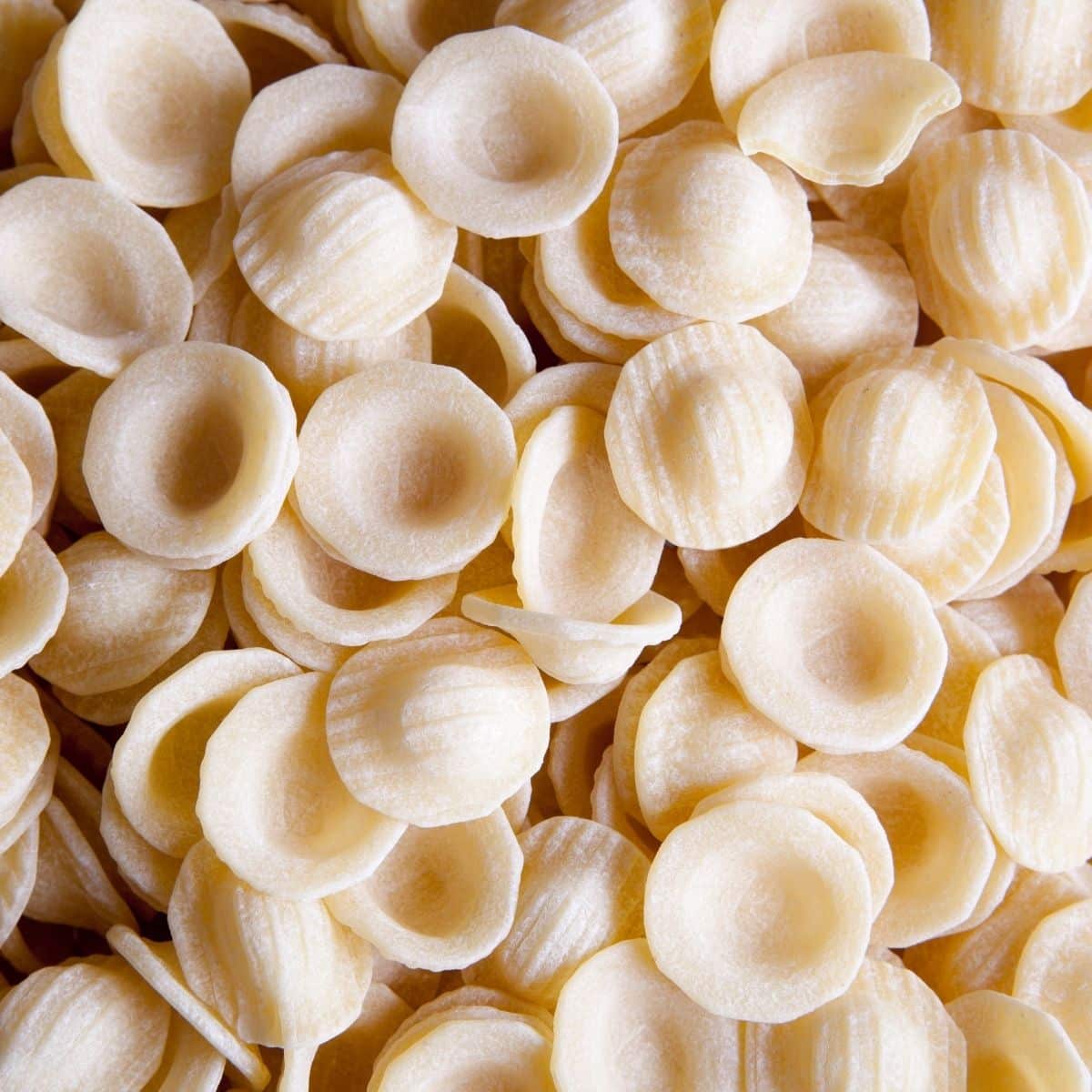 orecchiette pasta.