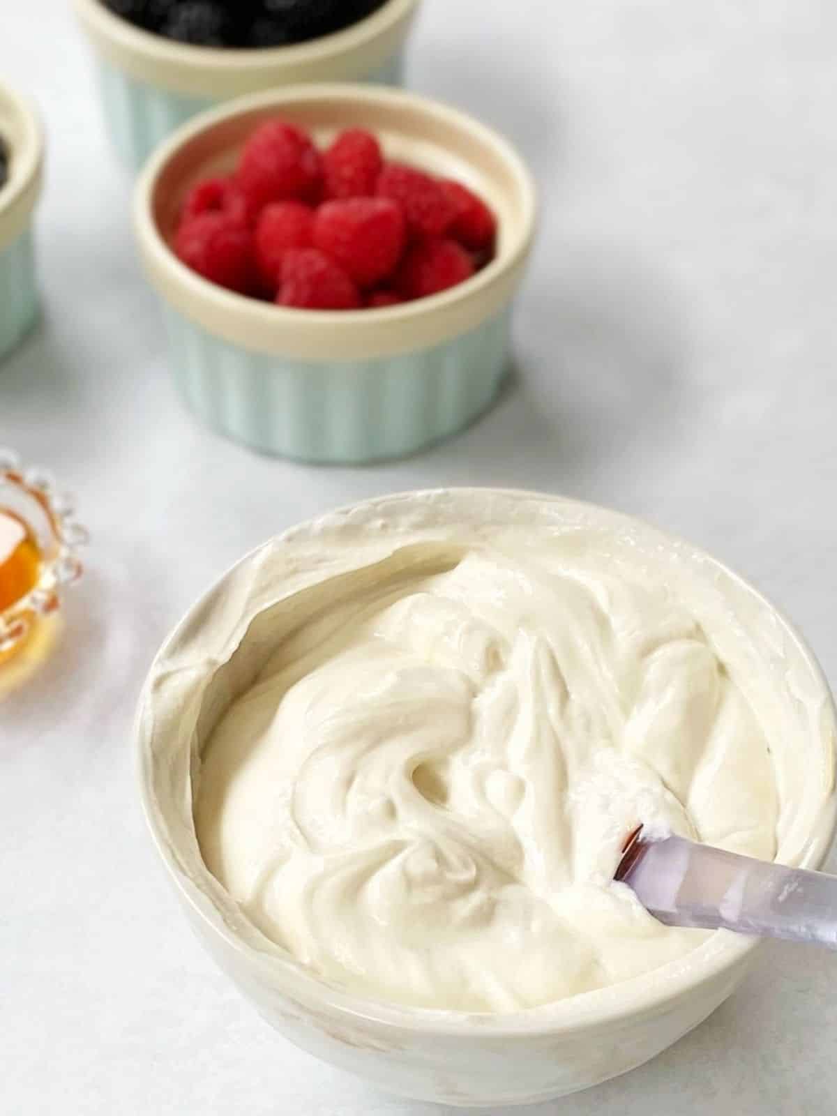 bowl of yogurt mixed with vanilla extract.