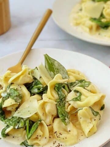 close up of bowl of spinach alfredo tortellini.