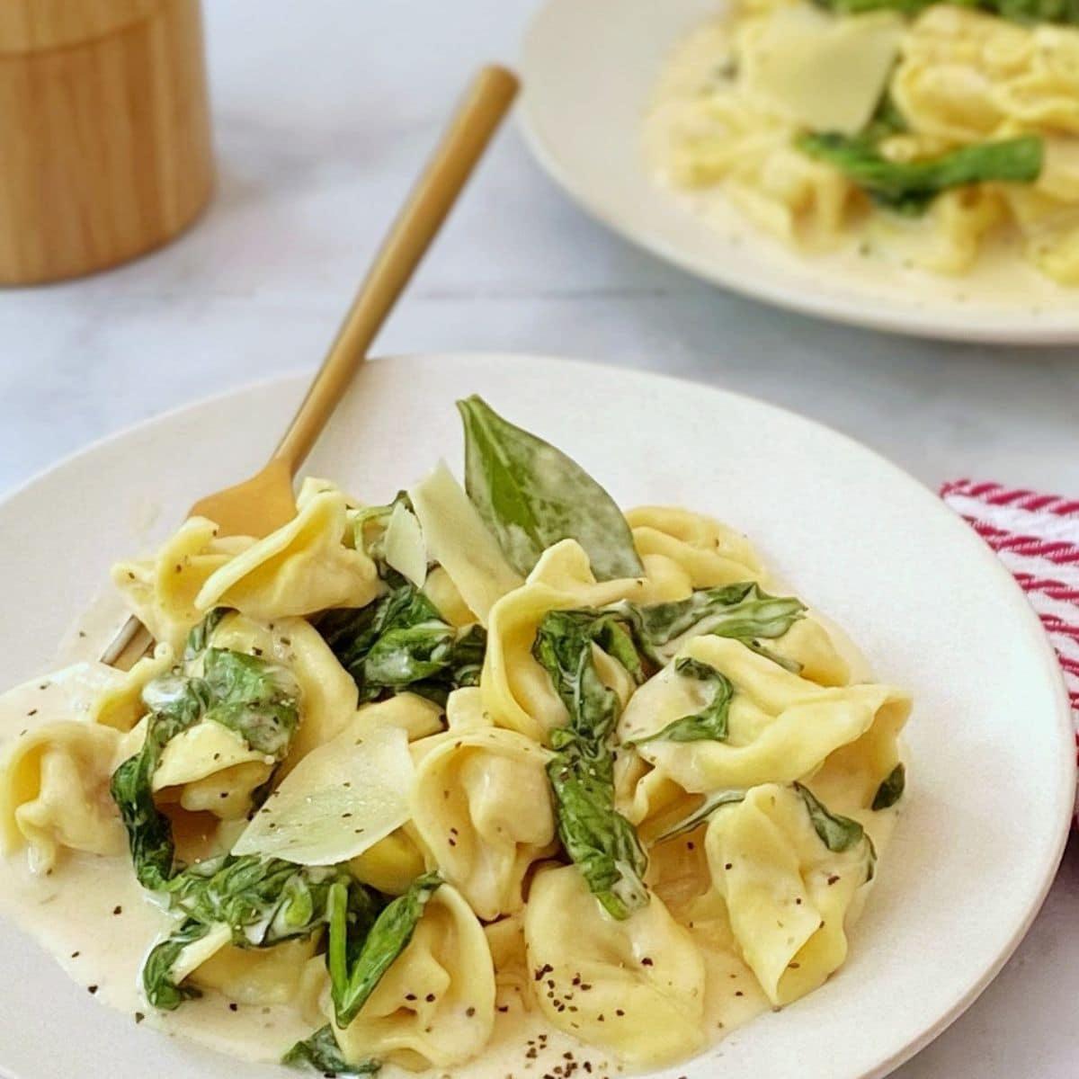 close up of bowl of spinach alfredo tortellini.