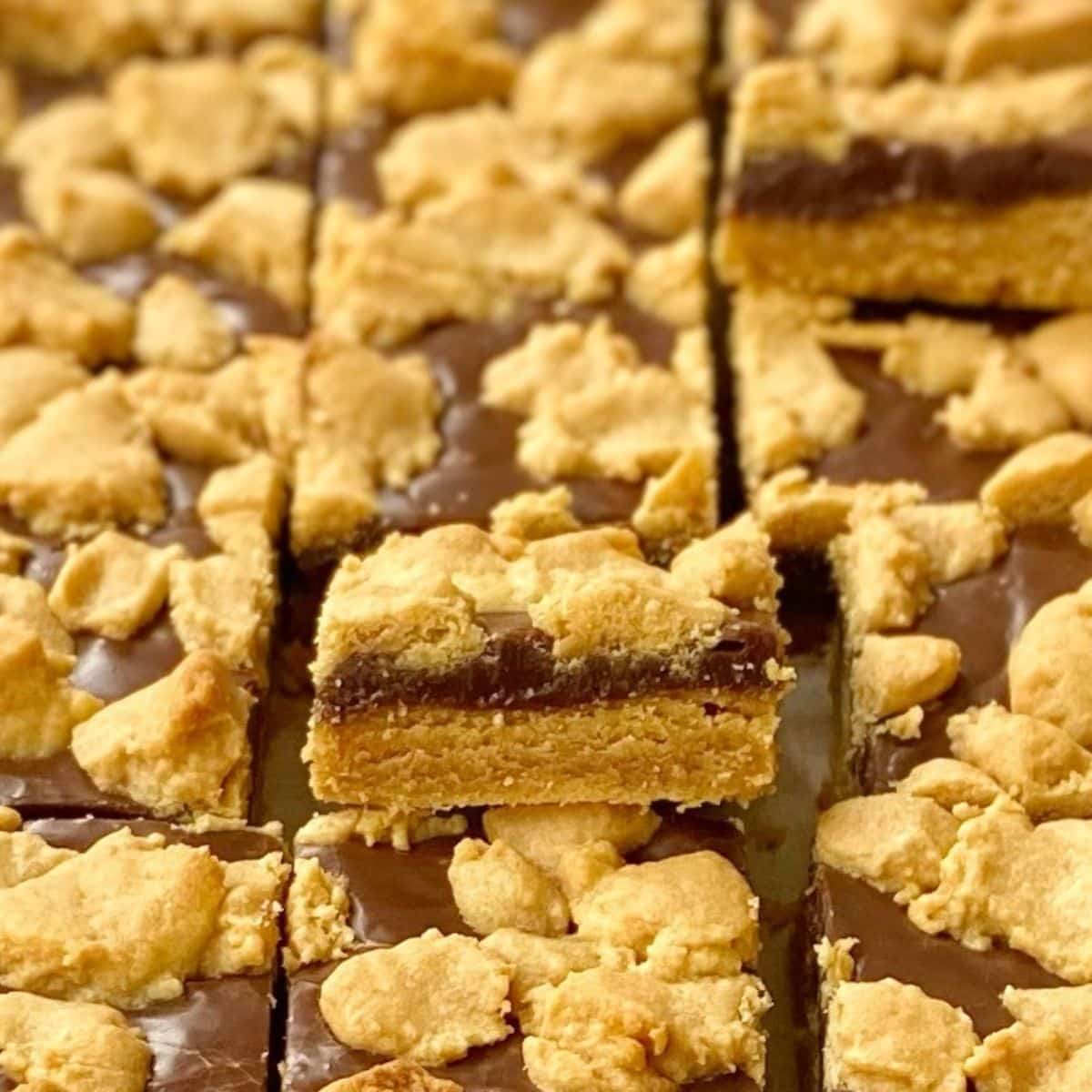 close up of sliced peanut butter bar.