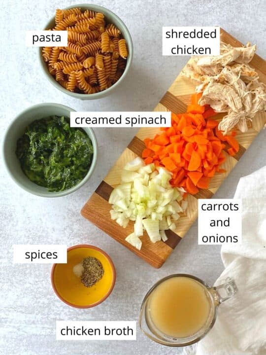 Chicken and Spinach Noodle Soup - My Casual Pantry