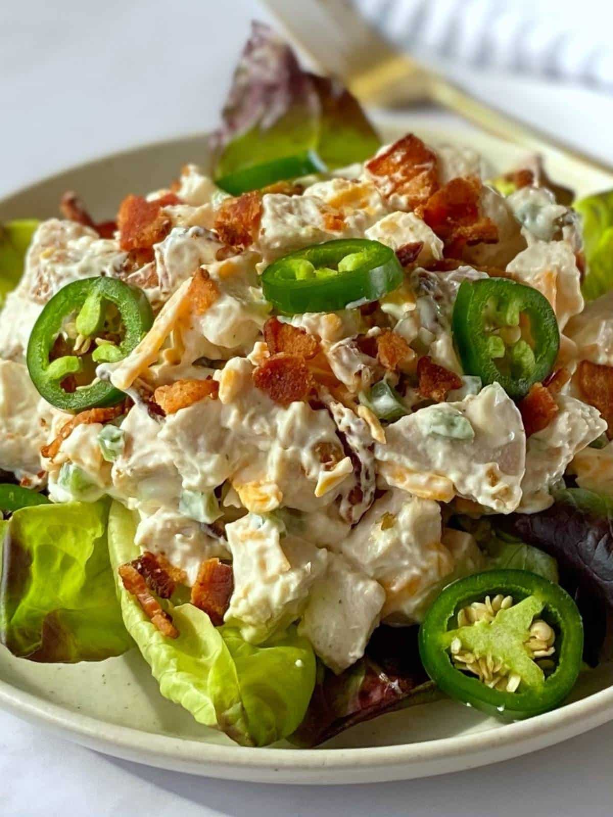 close up of chicken salad on a plate.