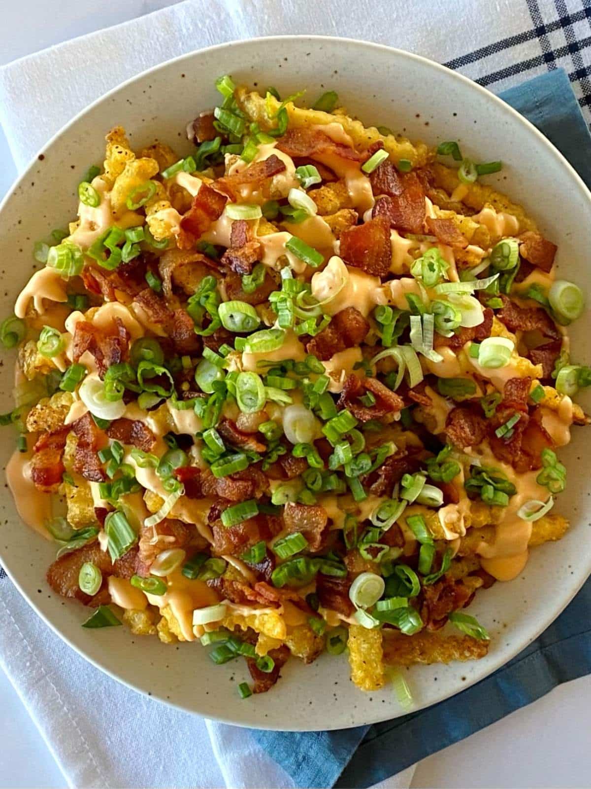 A serving platter of loaded fries garnished with scallions.