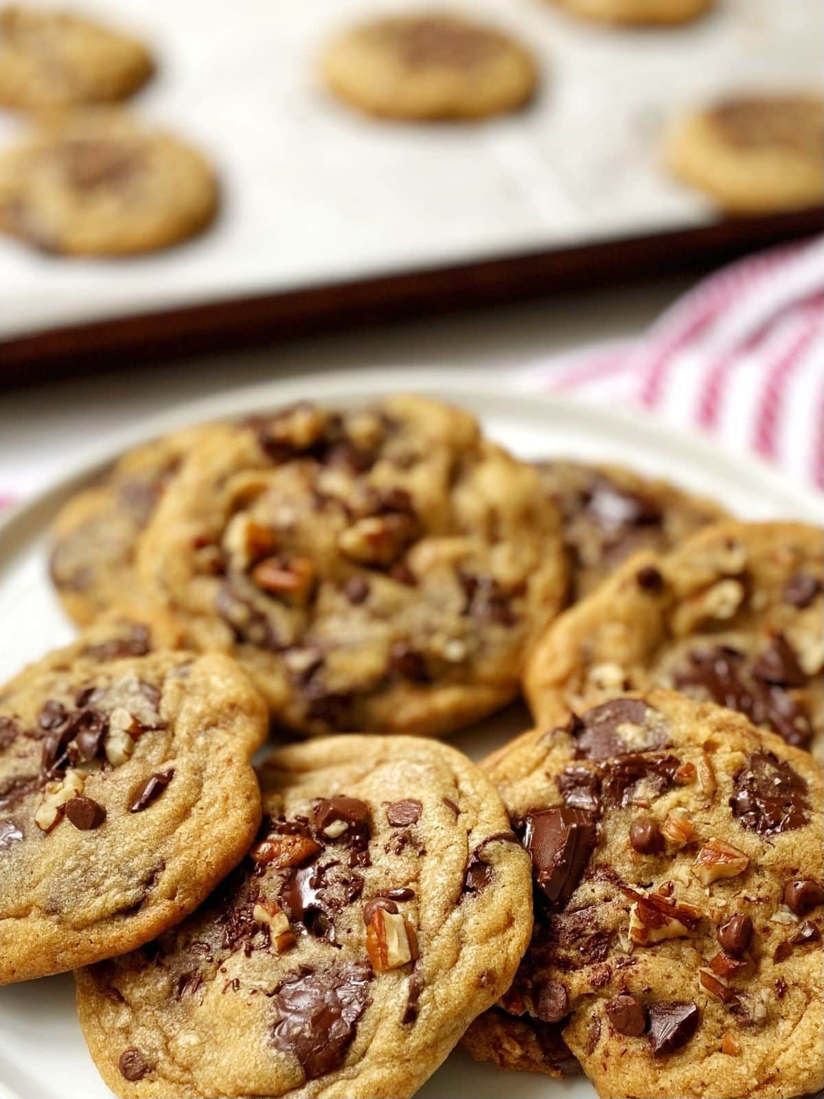 Chocolate chip pecan cookies on a plate.